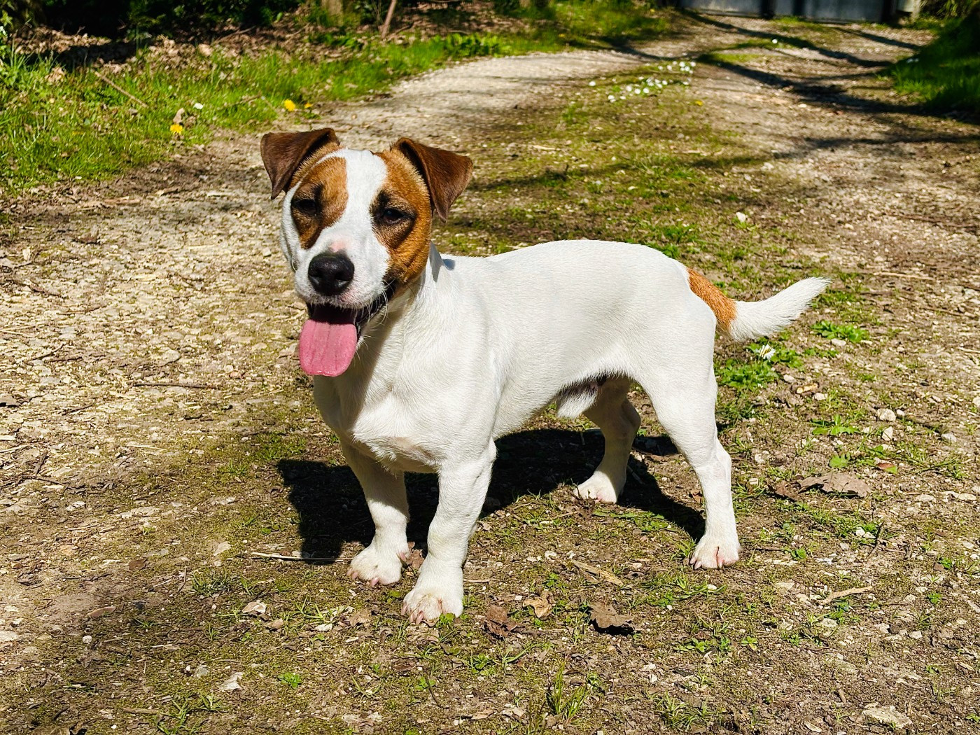 Undy des terres de bourguenailles